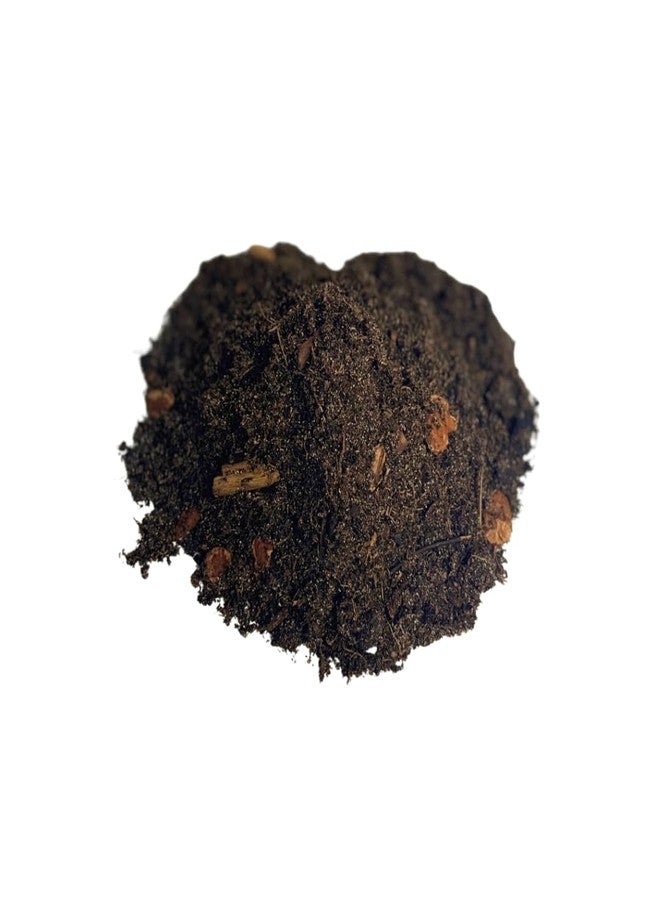 Bugzy Bugs Isocare Premium DesertScape Substrate All-Natural Soil Bedding & Bioactive Terrarium Vivarium Mix (4 Quart) - Image 2